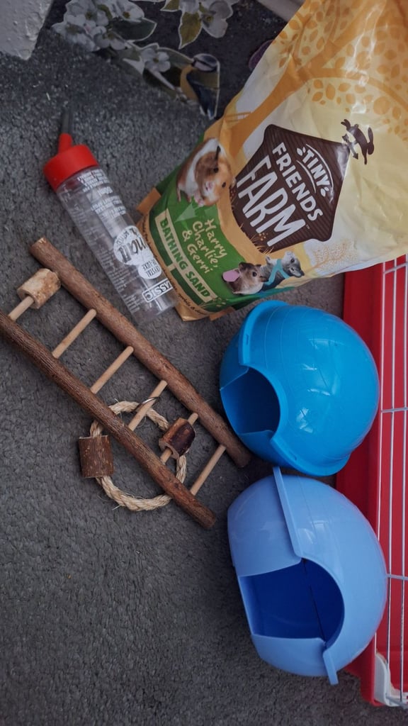 Small rodent pet accessories 