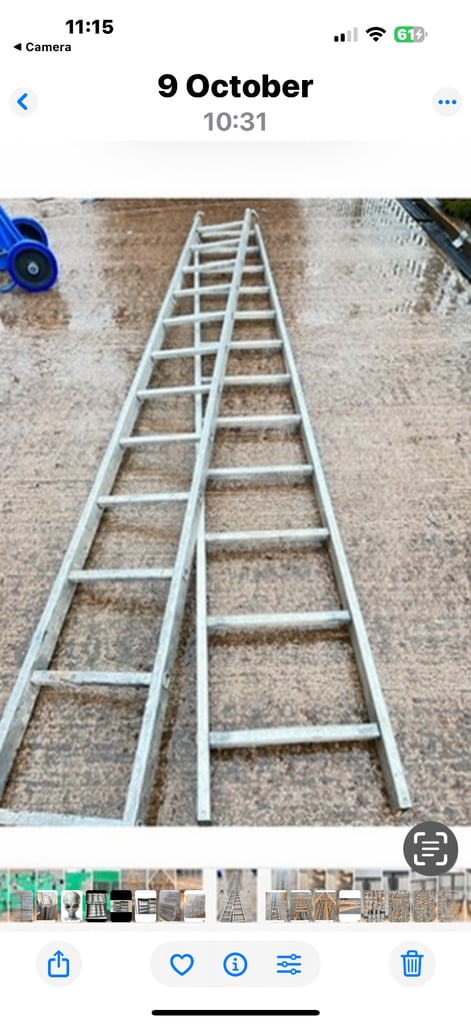 Professional Roofers Builders Ladders 