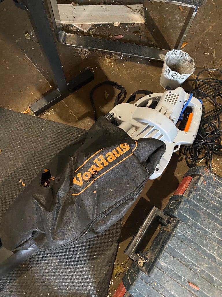 Leaf blower and hoover