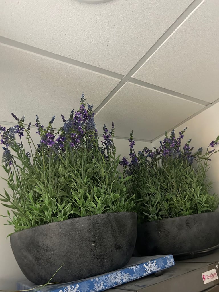 Large fake indoor plants