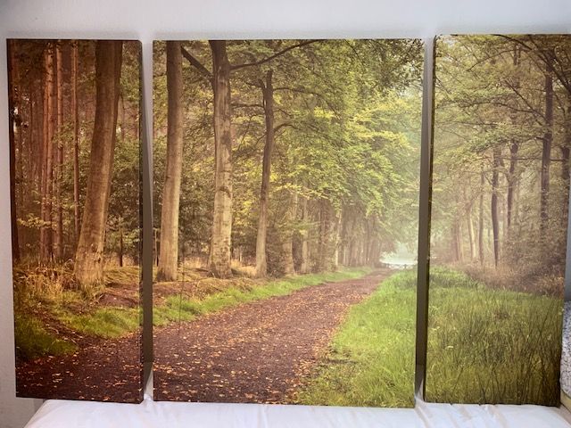 image for Canvas print ( 3 piece), from Next. Woodland scene; very large.