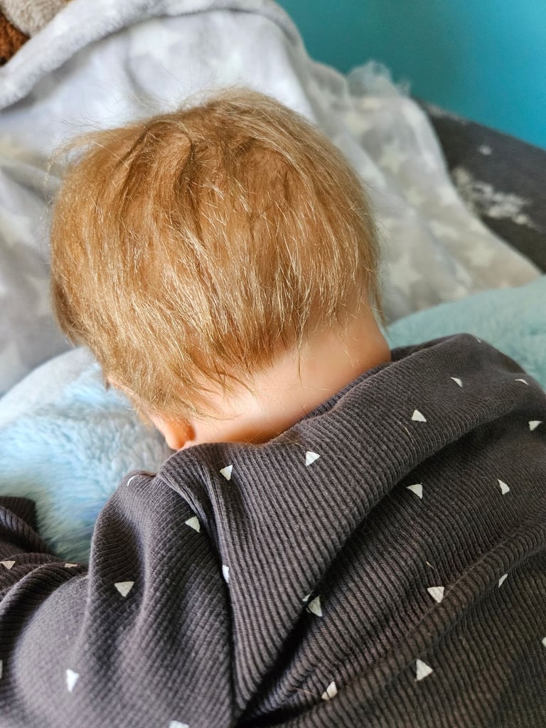 Reborn Pickle doll