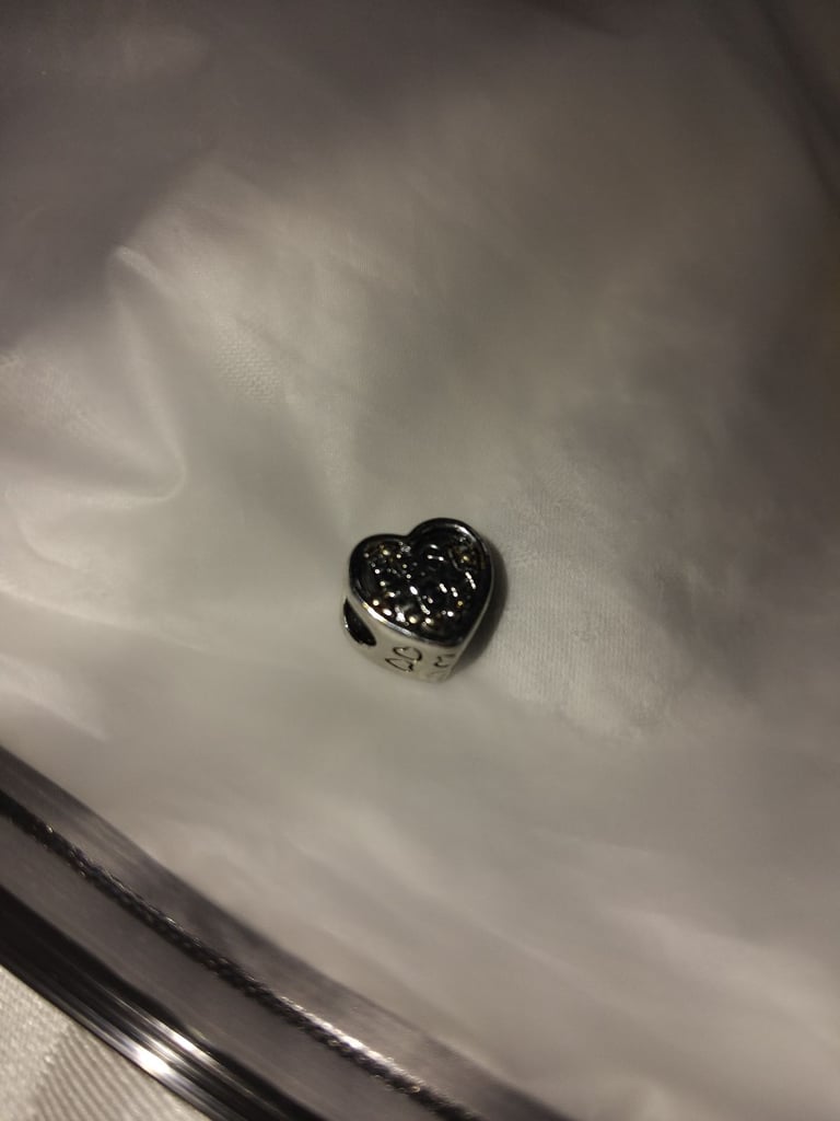 image for Silver charms 