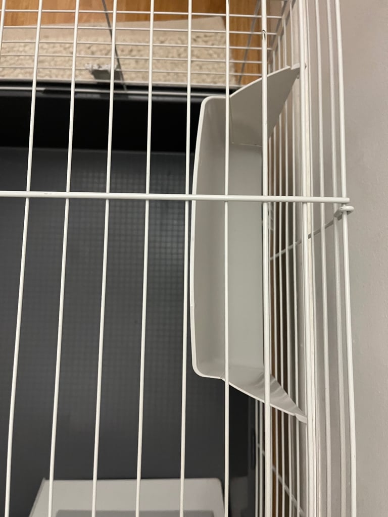 Guinea pig cage