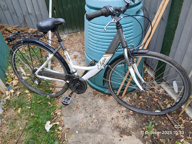 image for Free Bike