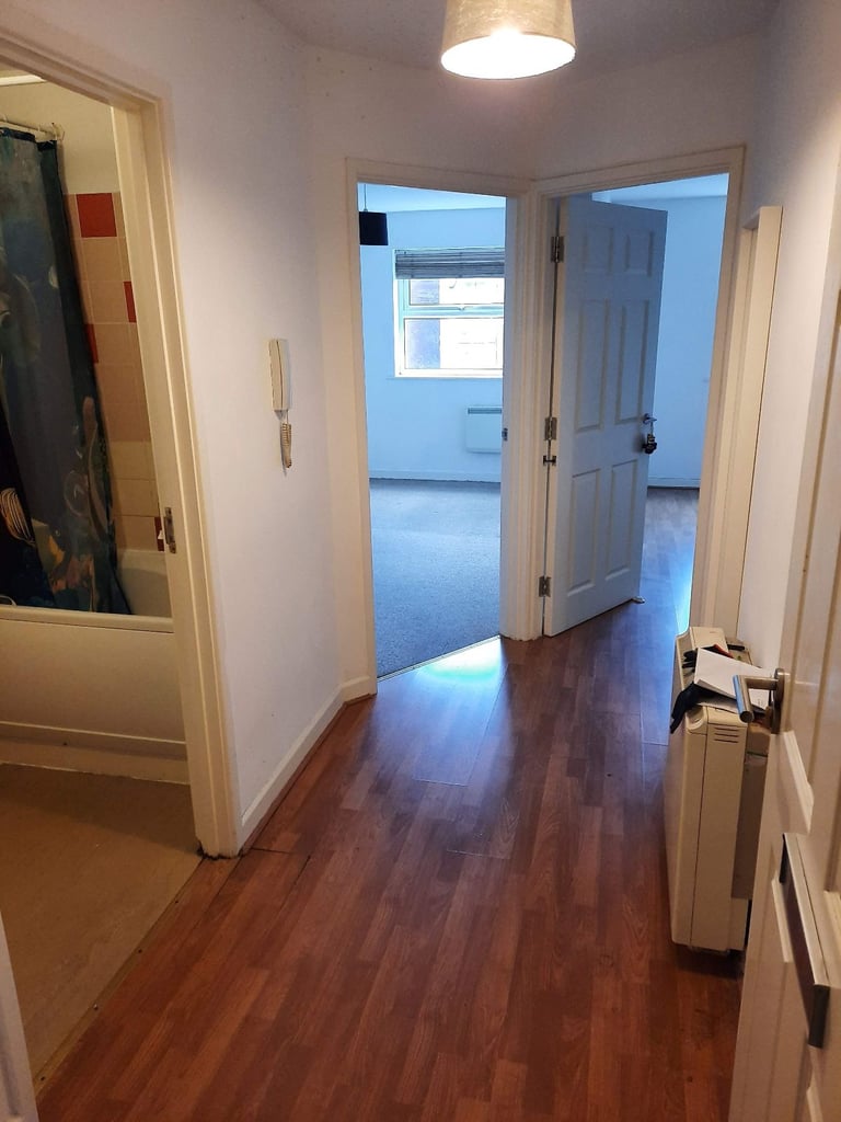 1 bedroom flat to rent - Available in October