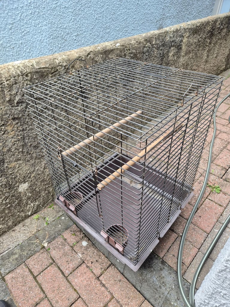 Bird Cage