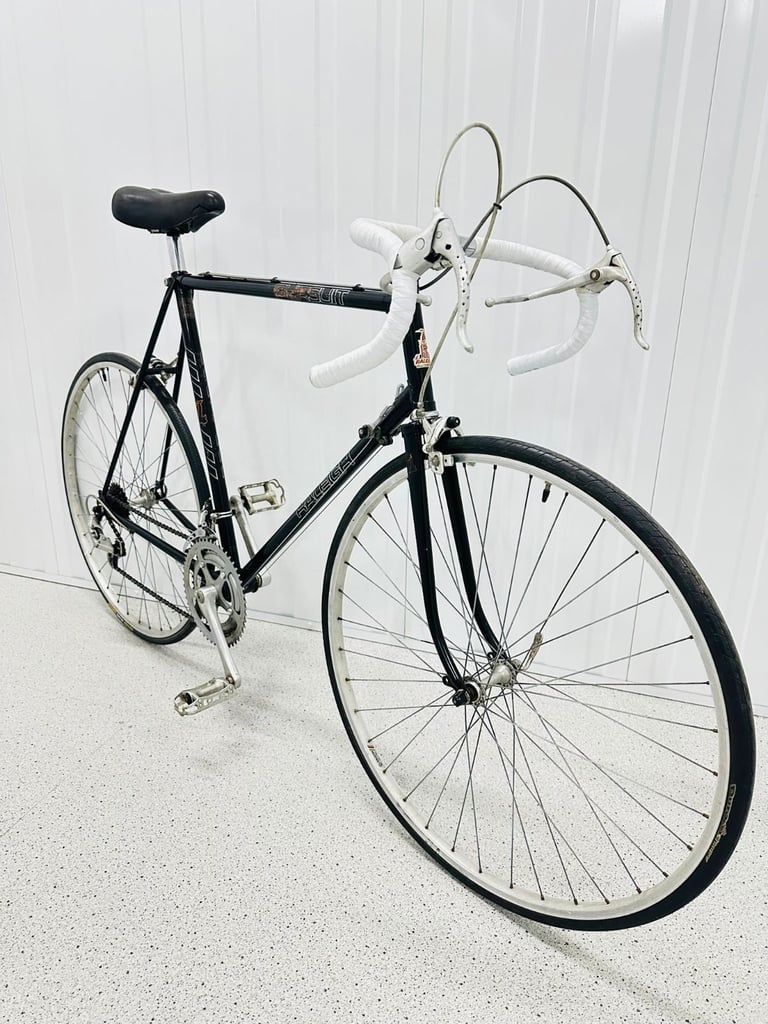 RALEIGH RECORD Size/L Fully Serviced 10 Speed Road Bike WARRANTY   