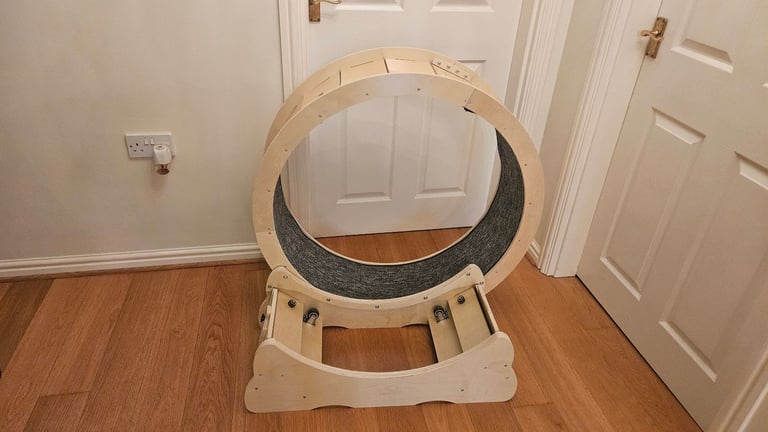 Keyzone cat exercise wheel