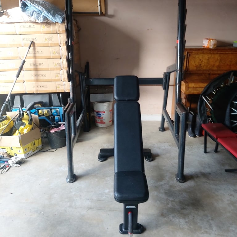 image for Commerical grade Squat rack and Nautilus Adjustable bench 
