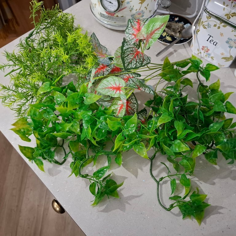 Exo Terra 45x45x60cm Vivarium 