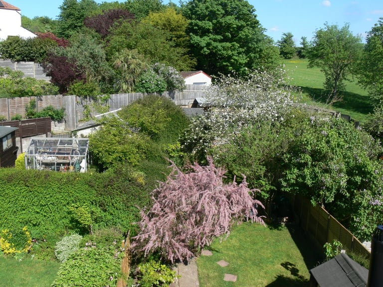 Double Room Friendly House
