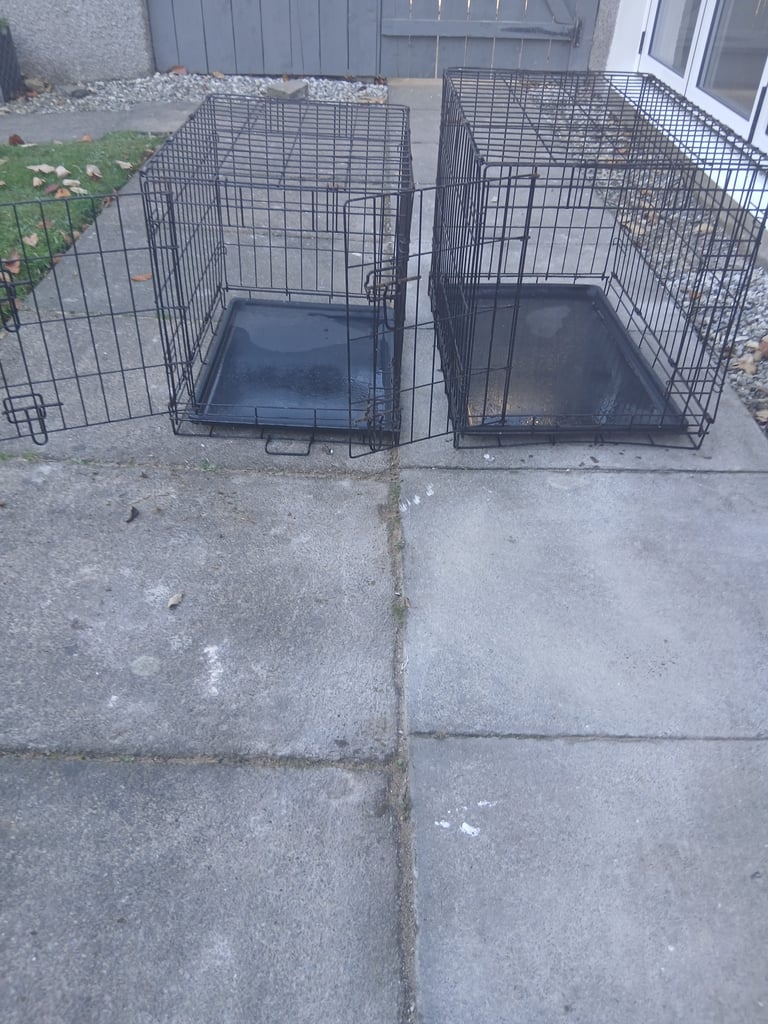 Dog Crates