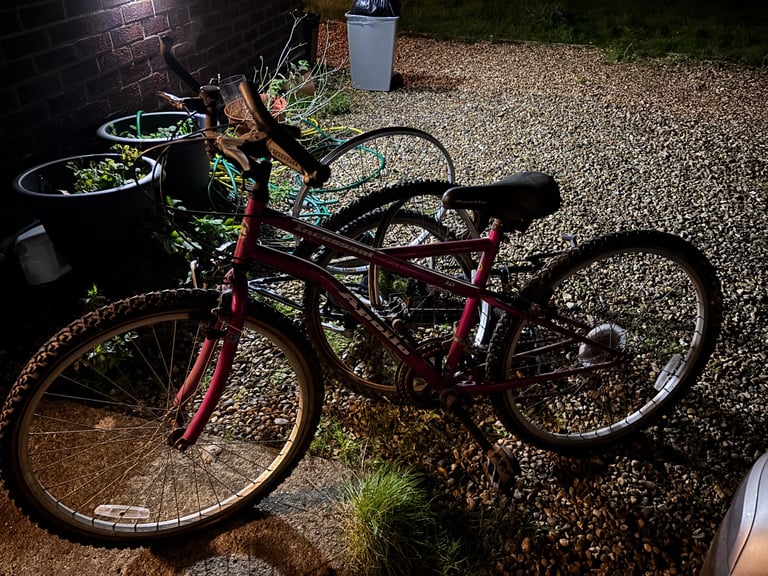 Two bikes free