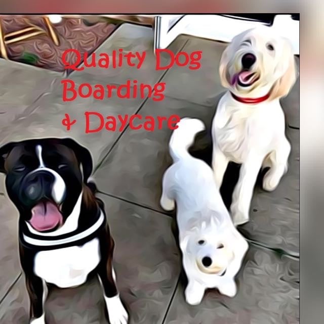 image for Quality Dog Boarding and Daycare