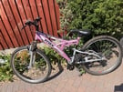 Adult Trax bicycle for sale in good condition in pink colour