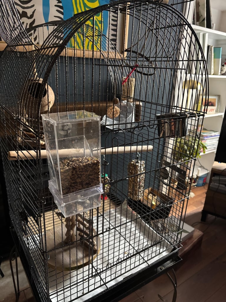 image for Bird cage and accessories 