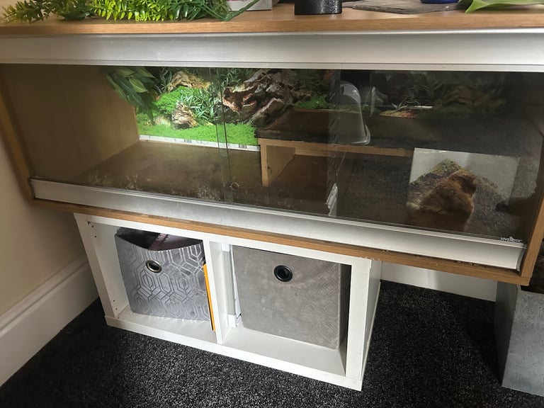 4 ft Vivarium 