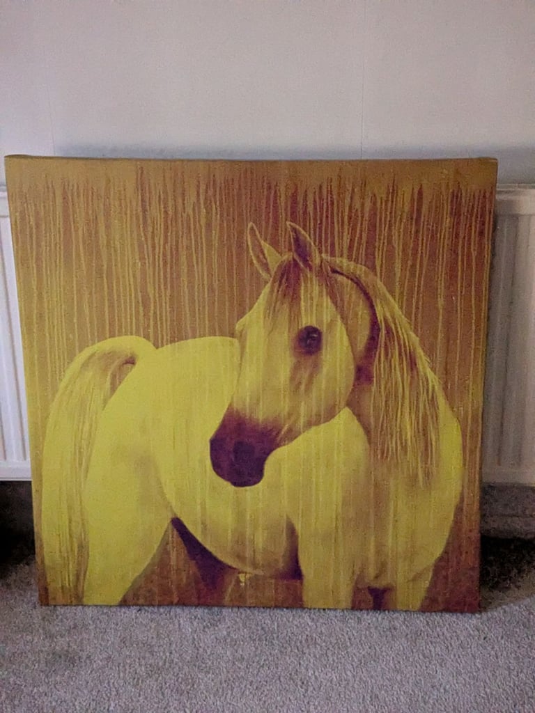 Wall art horse portrait Habitat brand