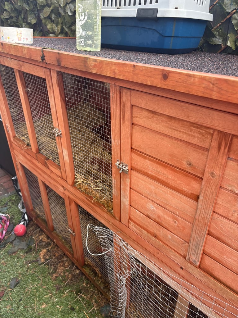 Large rabbit hutch