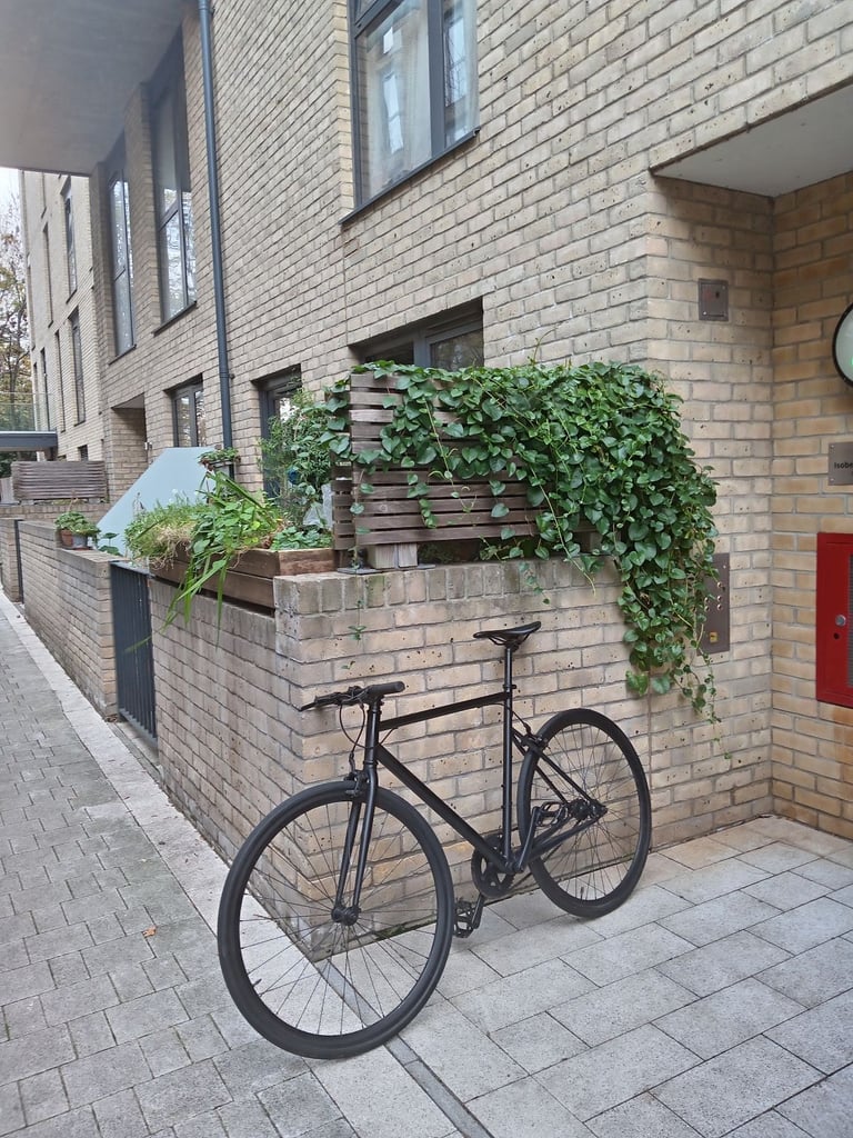 Bike for sale Single Speed