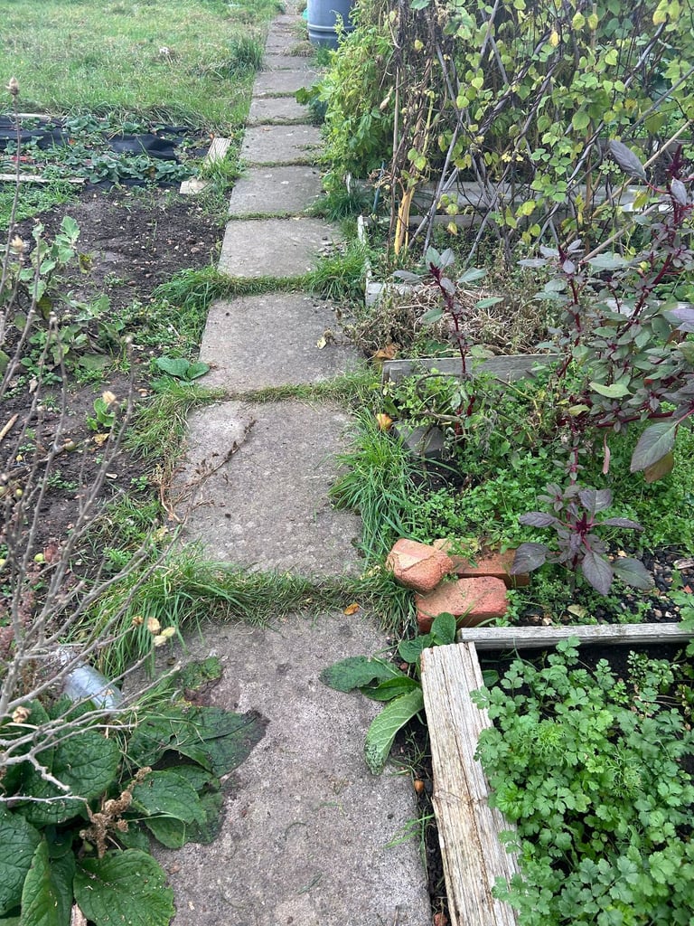 image for Paving Slabs