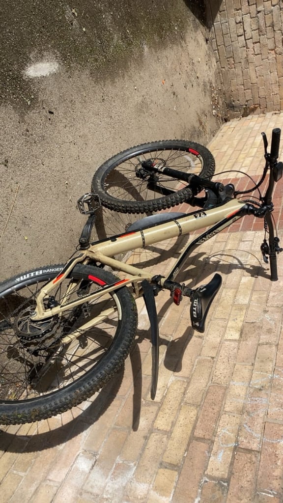Electric bike, pedal assist