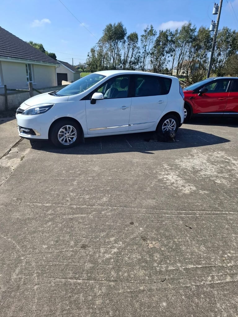 Renault, SCENIC, MPV, 2015, Manual, 1461 (cc), 5 doors