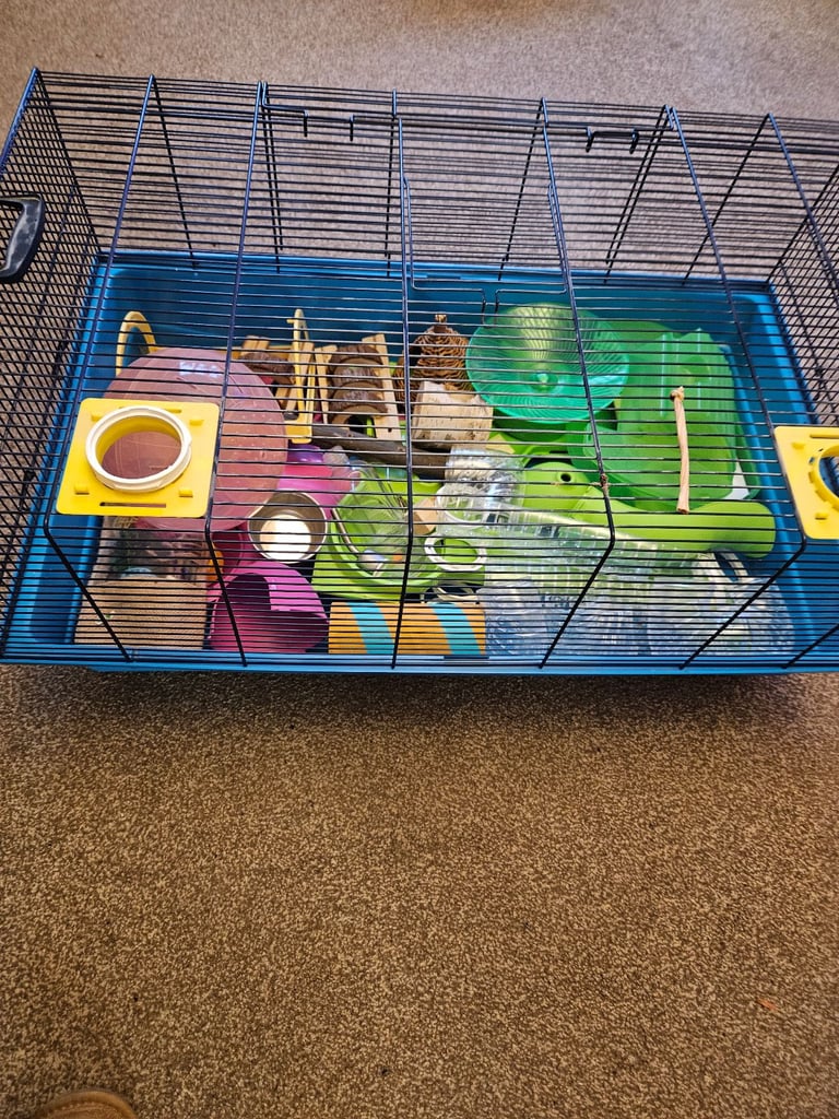 Hamster cage