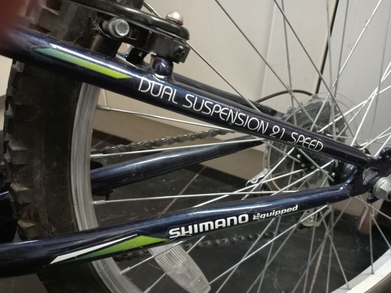 Arden Peak Mountain Bike