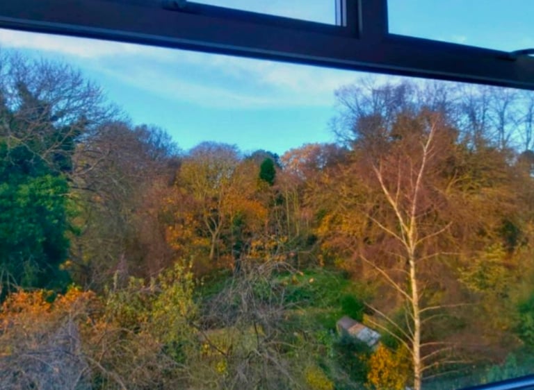 30+ quiet calm, 2 dbl rooms, own floor, gr8 views