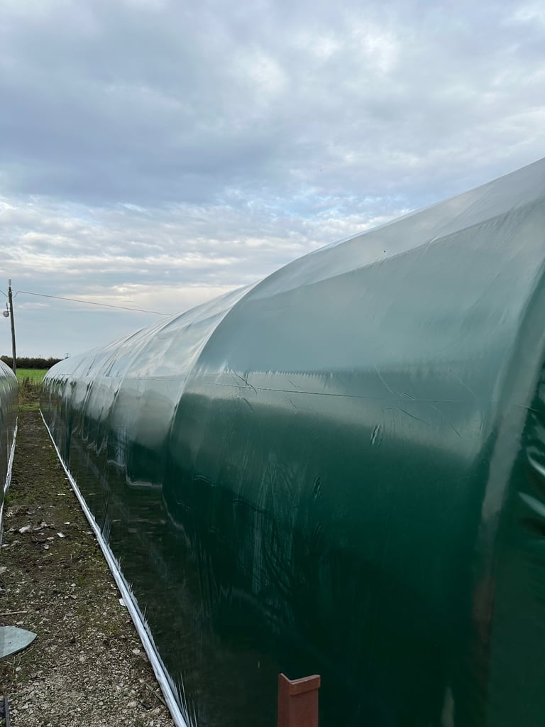 Polly Tunnel / Farm Building 