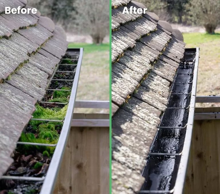 Professional Gutter Cleaning & Plumbing Services – Fair Rates & Reliable Service