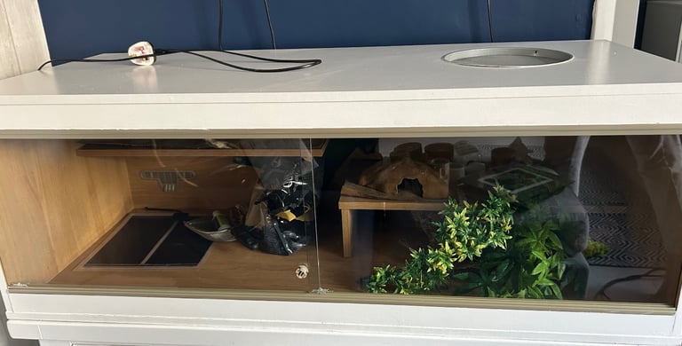 Vivexotic Terrestrial Vivarium Reptile Home Large