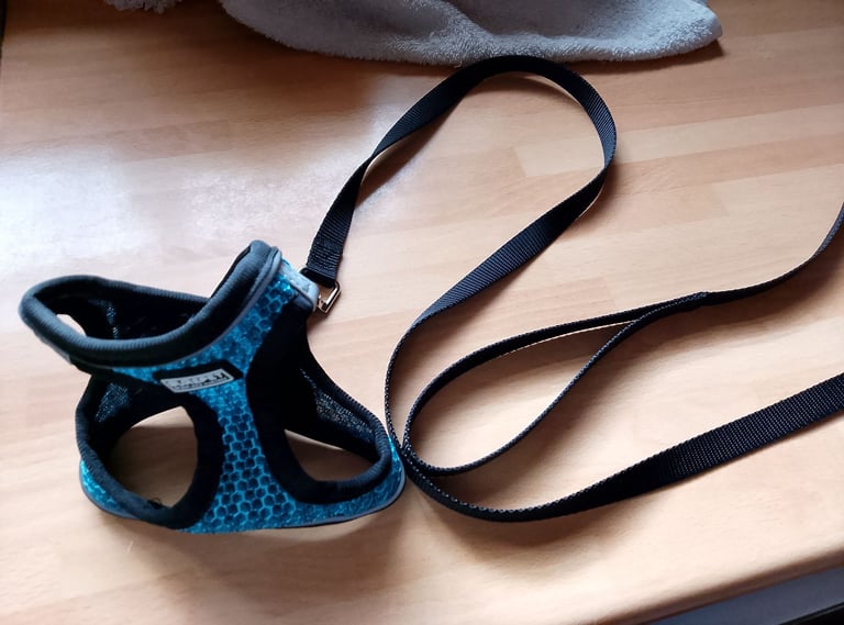 New XS Cat Harness with Lead