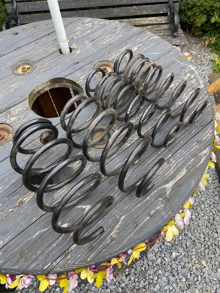 Fiesta st mk7 Eibach lowering springs