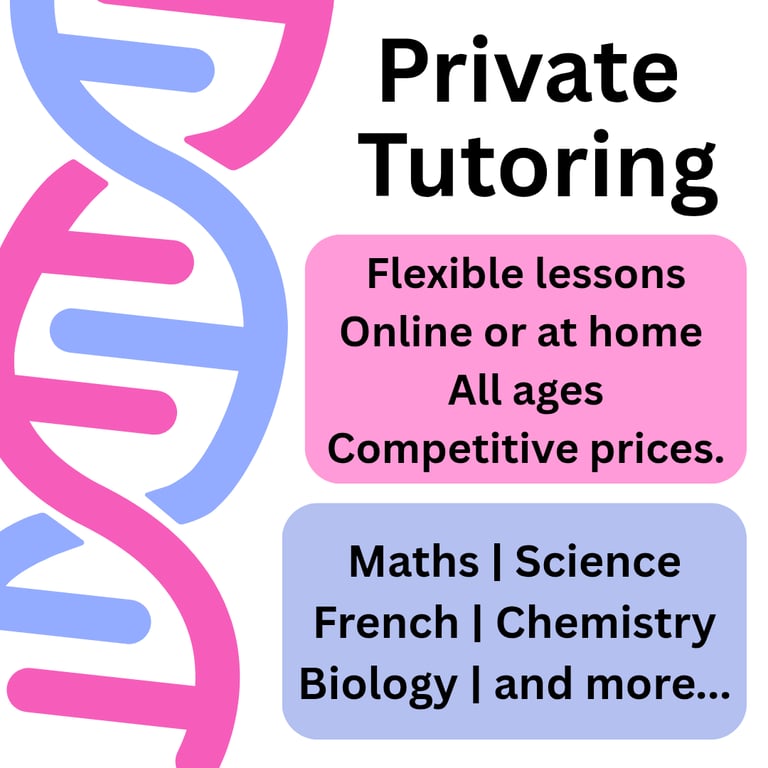 image for Private Tutoring - A-Levels - GCSEs - Transfer tests - ESAT