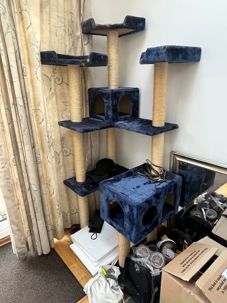 Very Large Cat climbing tree