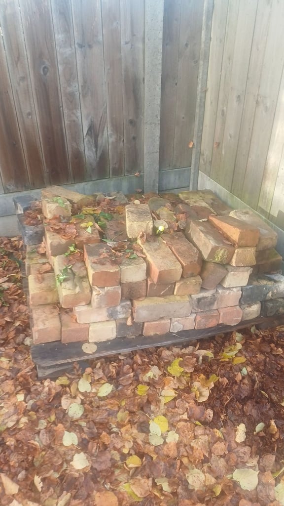 FREE BRICKS FOR COLLECTION