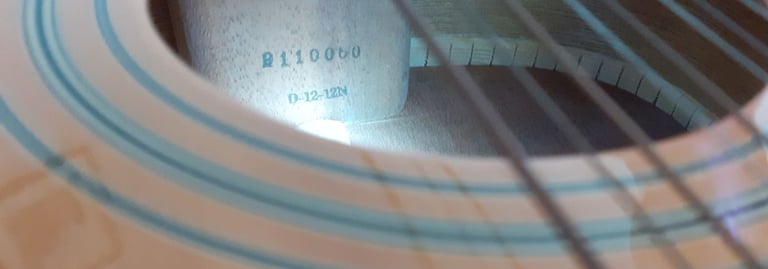 Vintage Natural Washburn D-12-12N 12 String Acoustic guitar 