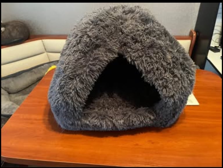 Cat bed