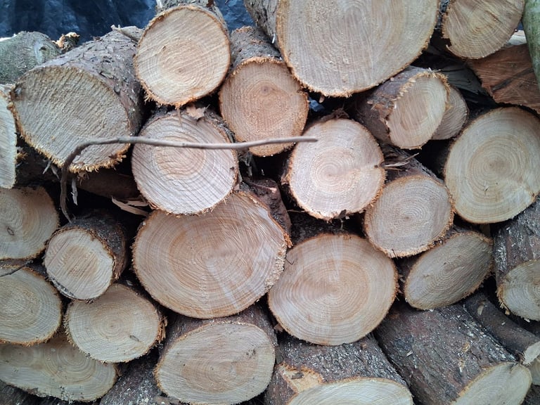 Woodburning logs 