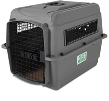 Medium size dog transport box kennel 