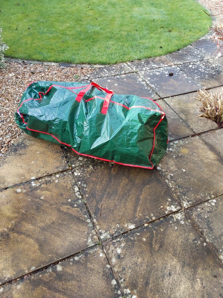  Christmas tree with lights