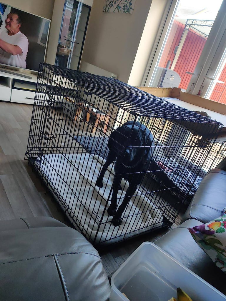 XL Dog Crate Cage 2 Door Crate Dog Cage with Removable Metal Tray & Sherpa Cushion