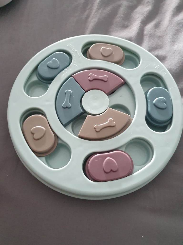 Assorted Dog Training Accessories