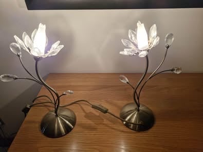 Pair of champagne crystal lamps