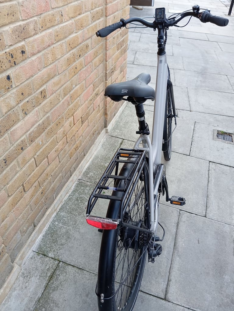 Peddle electric bike 