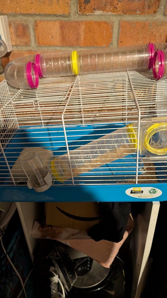Hamster 🐹 cage 