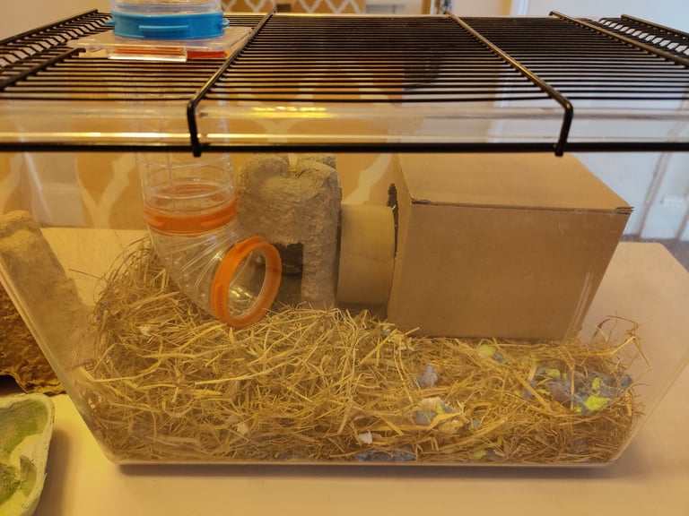Ferplast Novy 21 Hamster / Gerbil Burrow Box